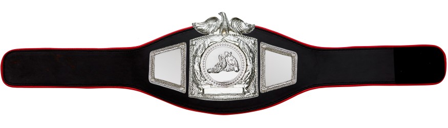 PROEAGLE JIU JITSU CHAMPIONSHIP BELT - PROEAGLE/S/JJS - AVAILABLE IN 6+ COLOURS PROEAGLE JIU JITSU CHAMPIONSHIP BELT - PROEAGLE/S/JJS - AVAILABLE IN 6+ COLOURS